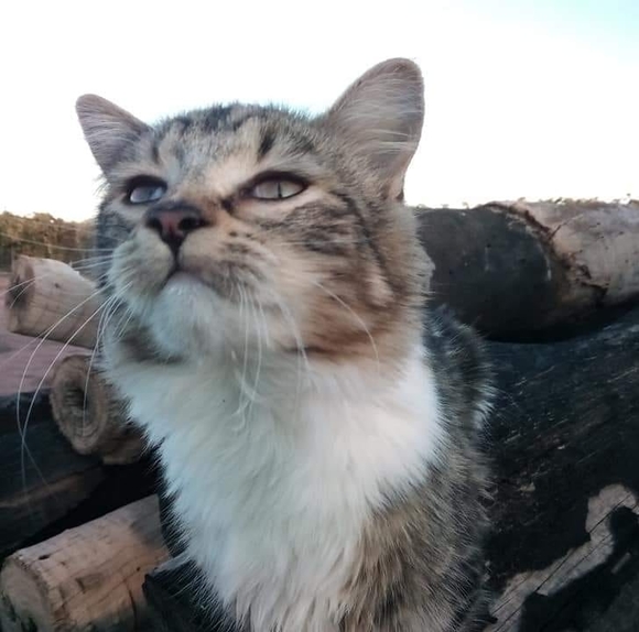 Meet your Posher, Hana - Picture 1 of 1